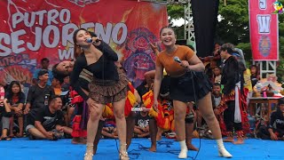 Garam Cina  Jandhut Putro Sejoreno Wijoyo Dmaxs Pro 