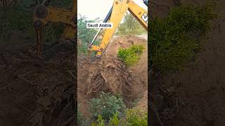 🇸🇦JCB3CX SAUDI ARB Majra mein JCB se #jcb #shortvideo #xcavator