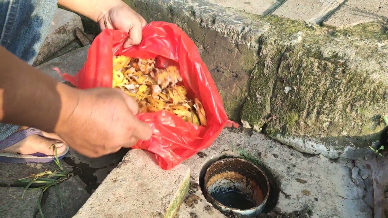 Jangan Buat Lubang Biopori Kalau Tidak Melakukan Ini - Perawatan Rutin Biopori