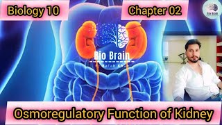 Osmoregulatory Function Of Kidney Class 9Th Chapter 5 Animated Lecture Biobrainbyrafahkhan