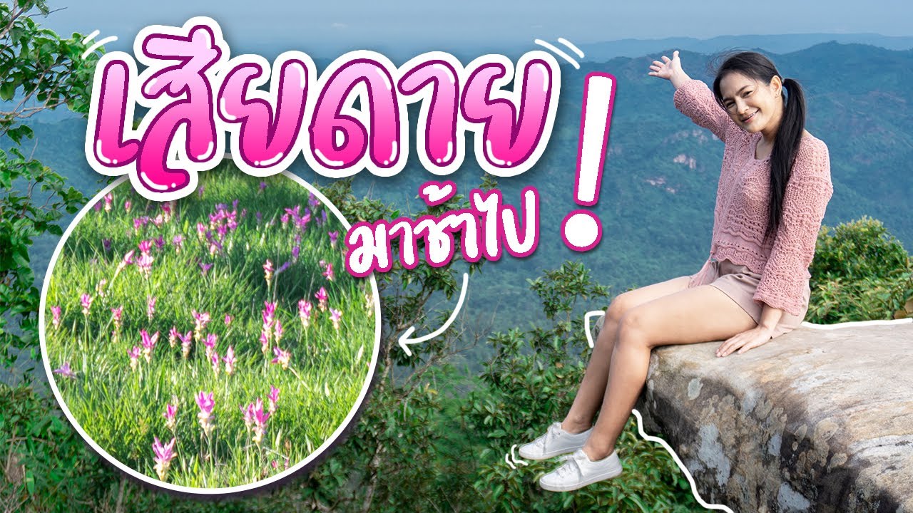 ปีหน้า แก้ตัวใหม่!! ทุ่งดอกกระเจียว + ผาสุดแผ่นดิน - ทริป 4 อุทยาน EP.2