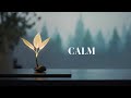 Deep Relaxing Music 🌿 Peaceful Solo Piano Music for Deep Sleep, Study, Stress Relief and Healing