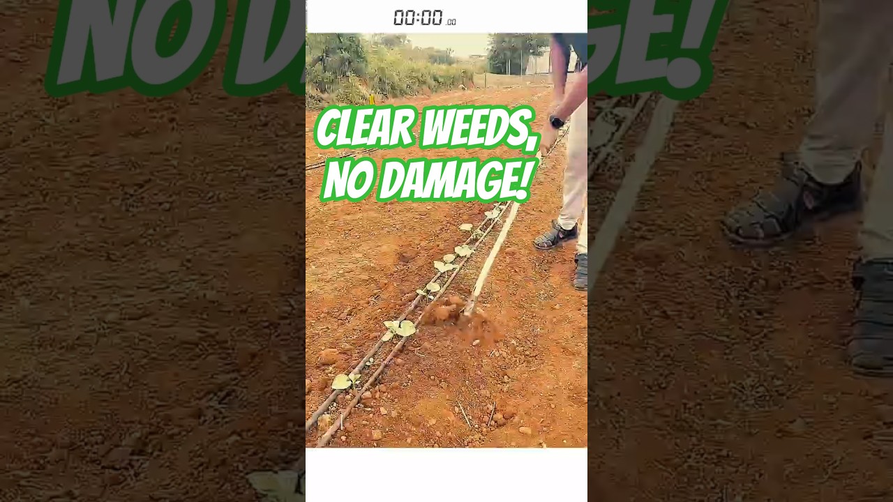 Manual Weeding Tool – Between Row Cleaner