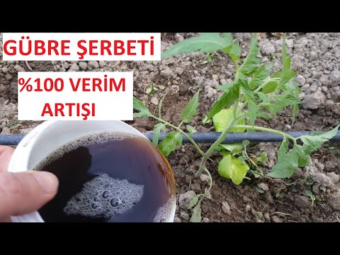 Video: Sebze Yetiştirmek Için Suda çözünür Gübre Novofert