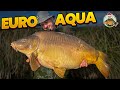 The home of the biggest carp in the world euro aqua vlog