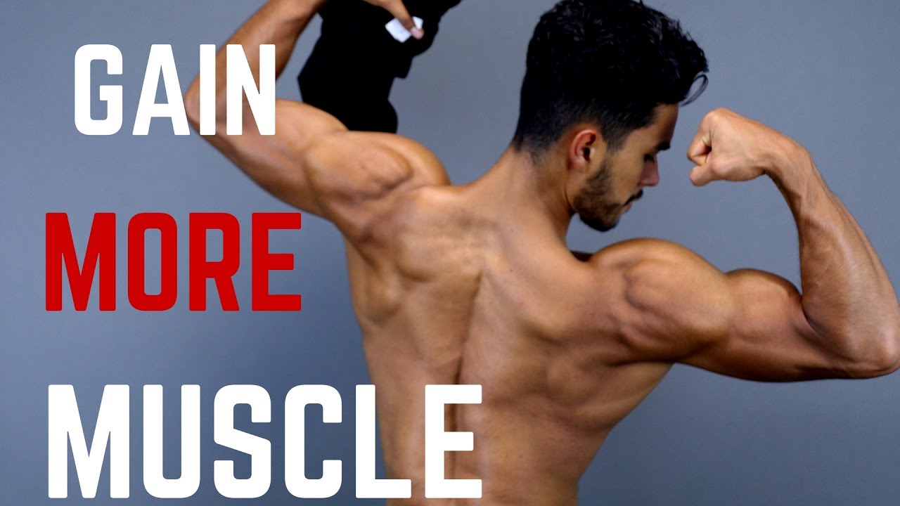 How To Gain MORE Muscle in 3 EASY Steps - YouTube
