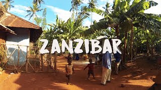 Discovering Zanzibar in 4 weeks *Short edit*