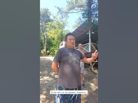 Сосновый берег Архипо Осиповка