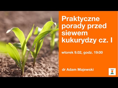Praktyczne porady przed siewem kukurydzy cz. I - dr Adam Majewski KWS