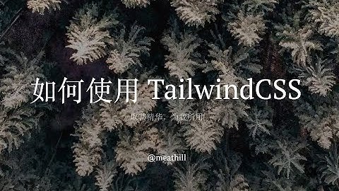 学会正确使用 TailwindCSS - 取其所长，为我所用