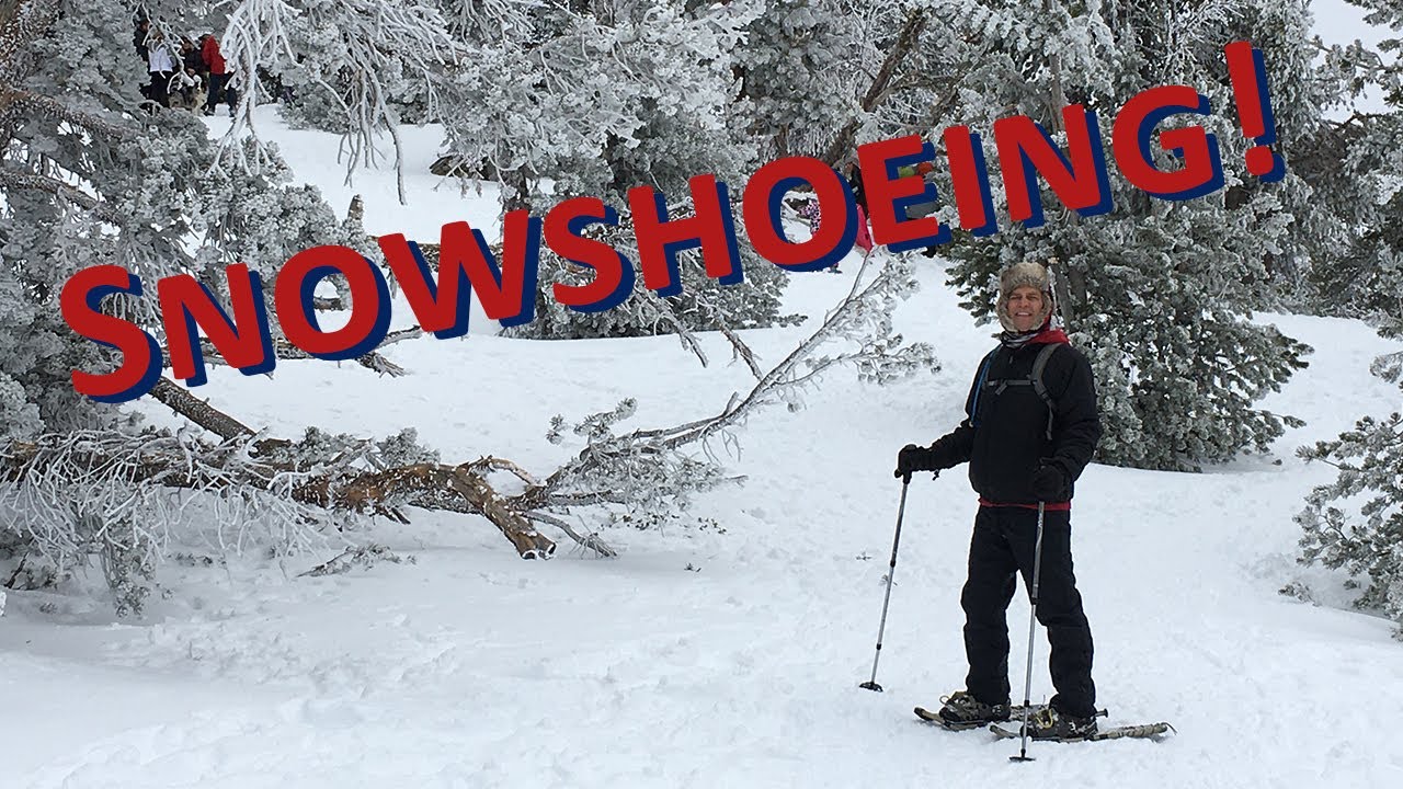 Snowshoeing at Chickadee Ridge - YouTube