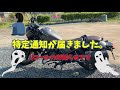 ひーさんのレブル君にリコール通知が届きました💦これでまた入院が長引きそうです ( ノД`)シクシク... #139