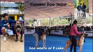 Chennai Dog show | 8 lakh rs dog | Surprise element | Ajay Immanuel