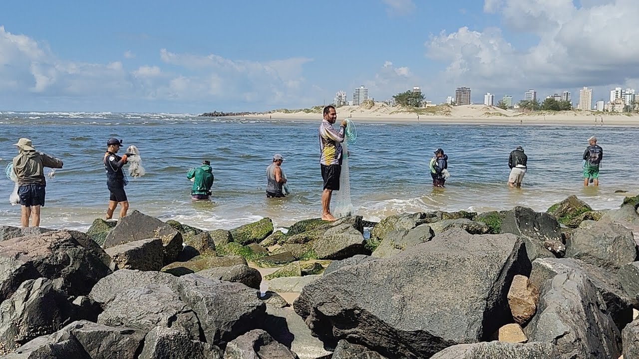 Pescarias de tarrafas, 20-02-25, manhã, Molhes de Imbé,RS. alguns peixes com boto 