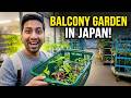জাপানে ব্যালকনিতে সবজি চাষ 🇯🇵🍅 | টমেটো, মরিচ, বেগুন, করলা | Japan Balcony Garden Vlog
