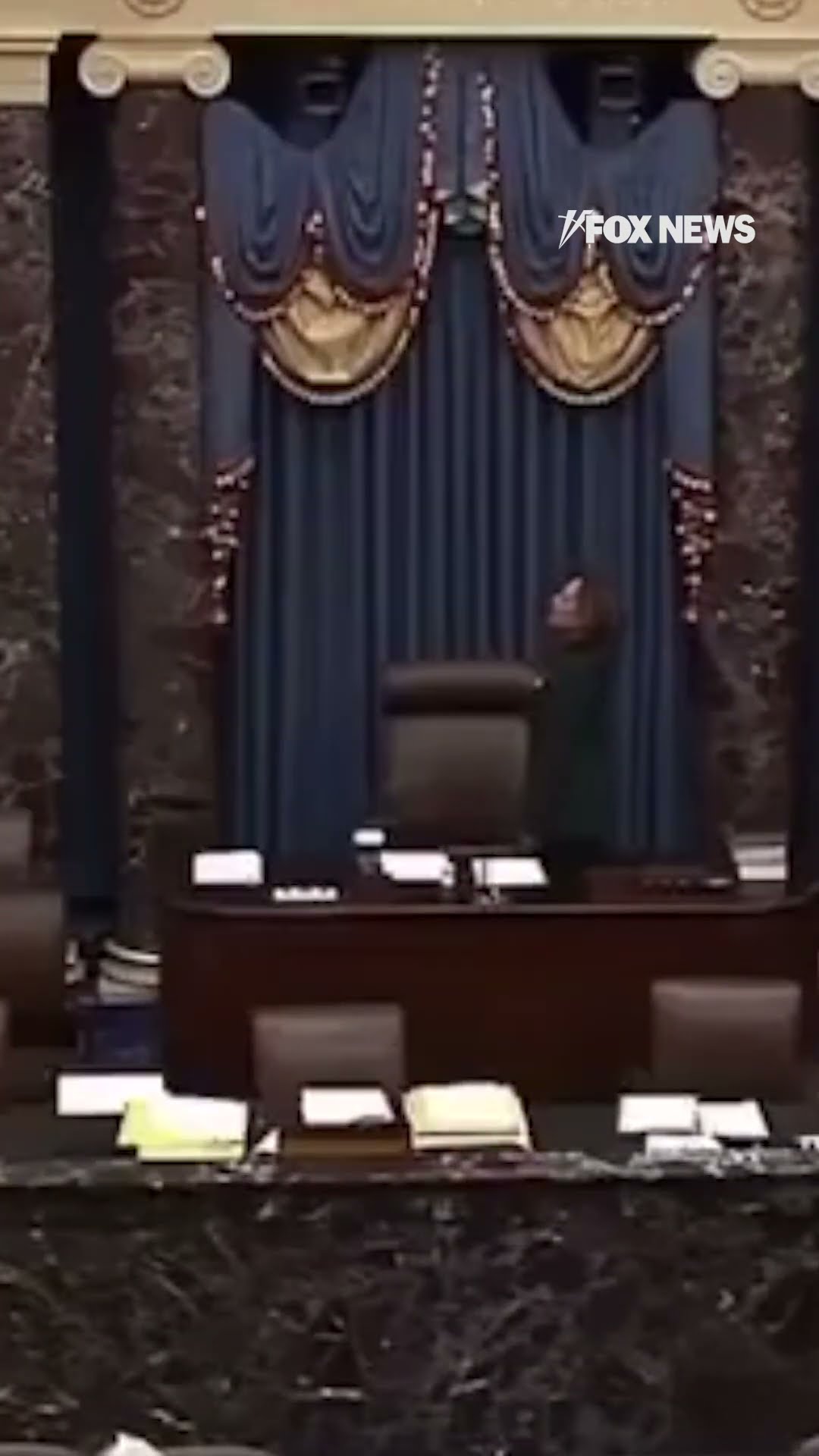 Vice President Kamala Harris appears to flub the Pledge of Allegiance