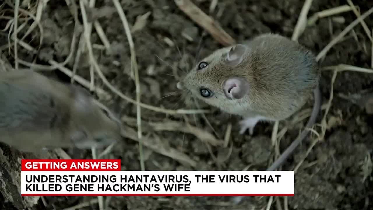 Getting Answers: hantavirus symptoms, causes