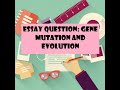 Gene Mutations and Protein Synthesis Quiz