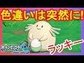 ゼラオラより色違いラッキー！？【ポケモンウルトラサンムーン】