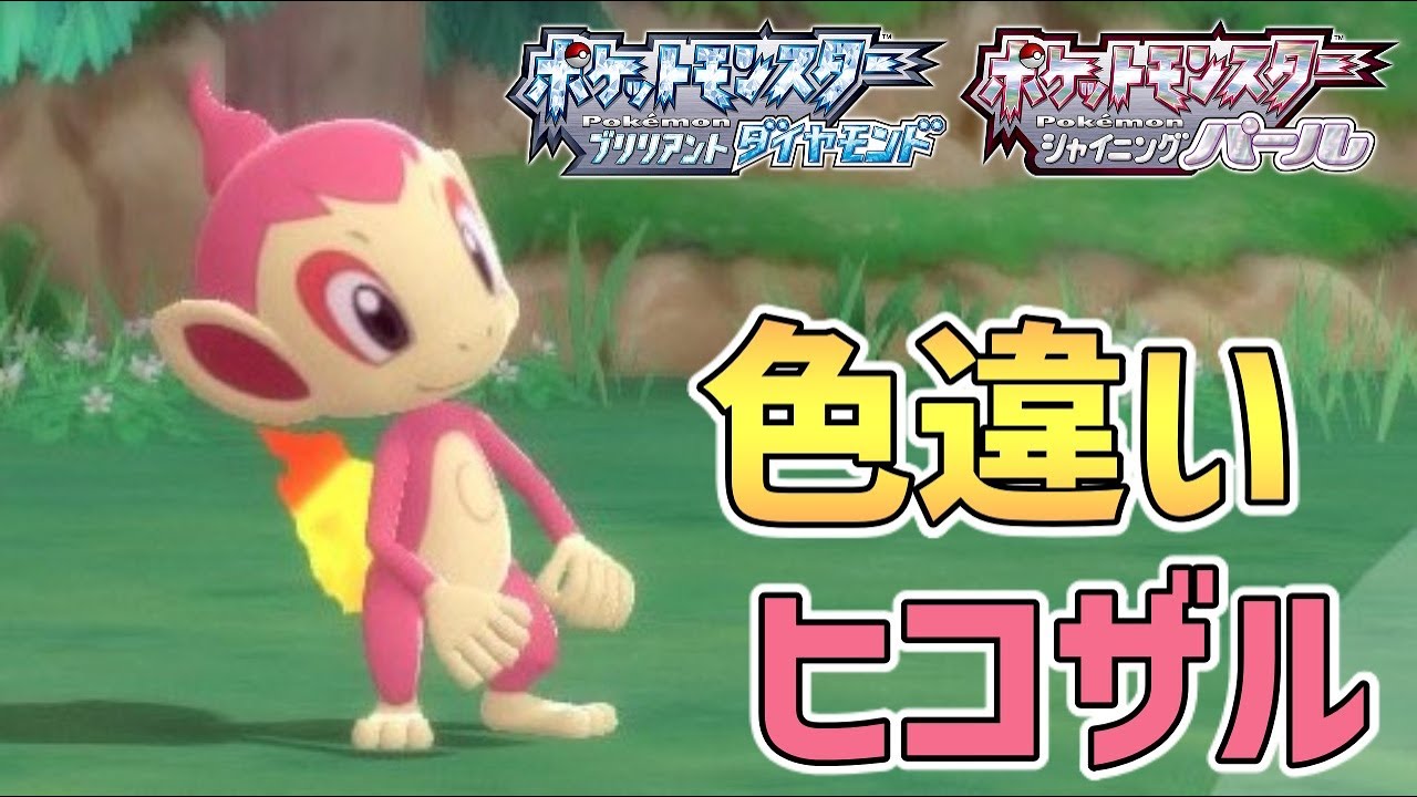 色違い御三家 とうとう色違いヒコザルを光らせた男 ポケモンbdsp Youtube