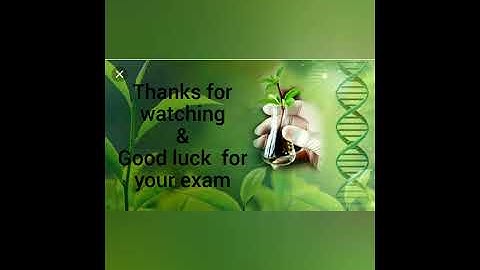 B.sc. 1st semester examination paper|| botany||paper name - biodiversity||hnbgu||