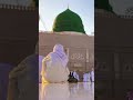 mere nabi ne farmaya 😭 #history #shorts #islamicvideo #trending #viral #rasoolallah