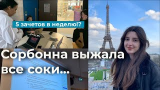 Неделя подготовки к зачетам в Сорбонне или неделя без сна challenge