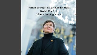 Warum betrübst du dich, mein Herz, Krebs-WV 511