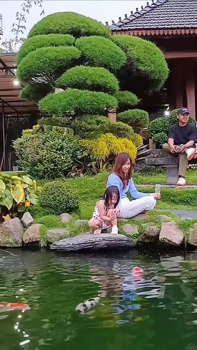 The coolest tourist spots in Temanggung | Sigandul View #shorts