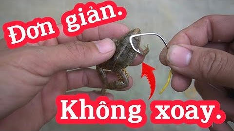 Cách móc nhái thật vào lưỡi đơn giản không bị xoay.