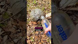 This Woman Thought The Turtle Was Thirsty 😳 (@lscruggs77/TT)