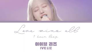 [1시간] IVE Liz (아이브 리즈) - Love wins all (orig. IU) 1 hour loop