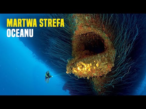 Wideo: Co dzieje się w martwej strefie?