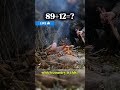 *Winter Night Survival: Wood &amp; Leaf Bushcraft Shelter*