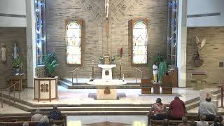 11:00am Sunday Mass, July 12, 2026