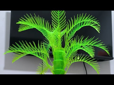 Video: Hoe maak je een palmboom van plastic flessen: stap voor stap instructies met een foto