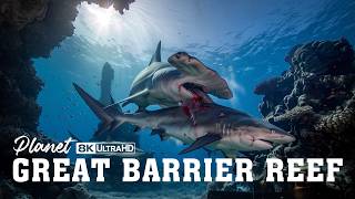 GREAT BARRIER REEF | The Unseen Wildlife of Earth's Greatest Reef | Full Documentary