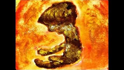 Sétamùr - Sebastian