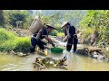 Dwarf family sets traps to catch crabs in small streams and takes them to the market to sell.