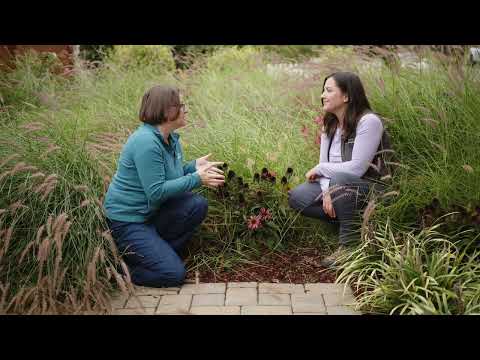Georgia’s Front Yard Makeover | 2025 Fall Garden Check-In & Seasonal Garden Tips 🍂