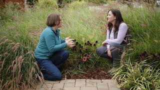 Georgia’s Front Yard Makeover | 2025 Fall Garden Check-In &amp; Seasonal Garden Tips 🍂
