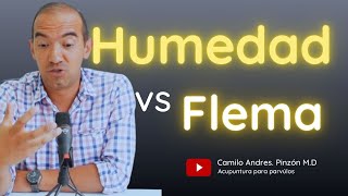 HUMEDAD VS FLEMA: Cuales son sus diferencias ? 😱🙊 | Acupuntura para párvulos.