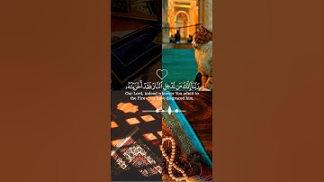 قرآن الكريم سورة آل عمران الآية {192} بصوت فارس عباد ✨♥️🎧