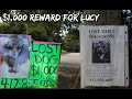 The Search for Lucy the Missing Poodle