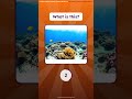 English Quiz Shorts | Landscapes #english #learnenglish #education #words #shorts