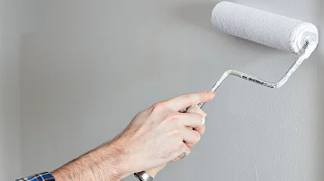 What is the Best Paint Roller to Use - Whizz Roller Review