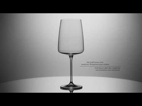 Schott Zwiesel Sensa Red Wine Glass 91 Points - James Melendez 