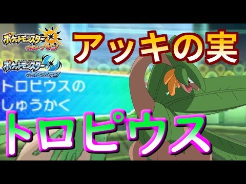 Usum トロピウスのおぼえる技 入手方法など攻略情報まとめ ポケモンウルトラサンムーン 攻略大百科