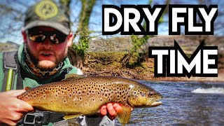 River Usk, Wales  It's Grannom Time! Dry Fly Fishing For Brown Trout