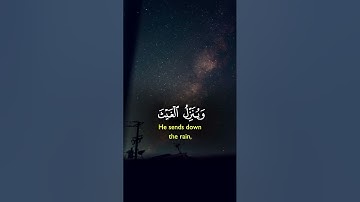 إن وعد الله حق فلا تغرنكم الحياة الدنيا ولا يغرنكم | الآية 5 من سورة فاطر 😴🎧